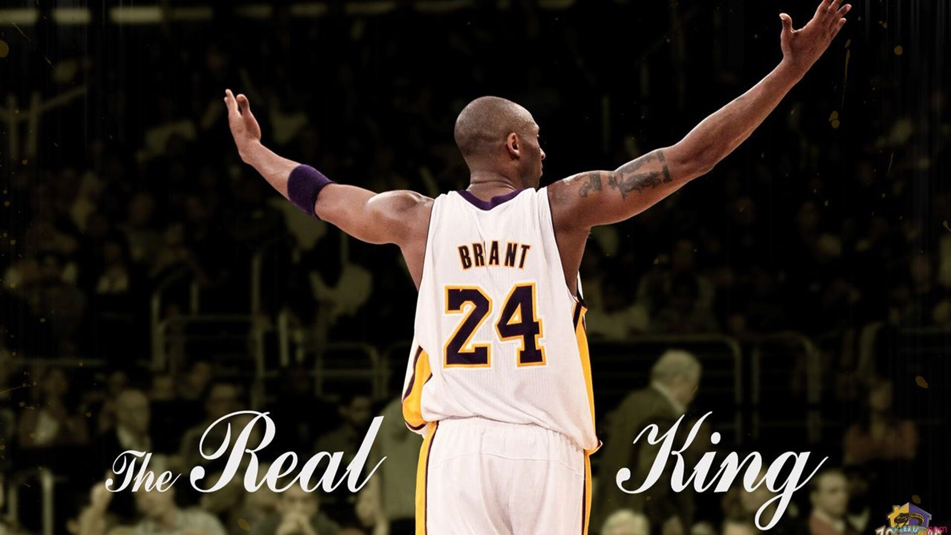 明日方舟“未来之战”超级联赛激烈角逐,明日方舟2021计划